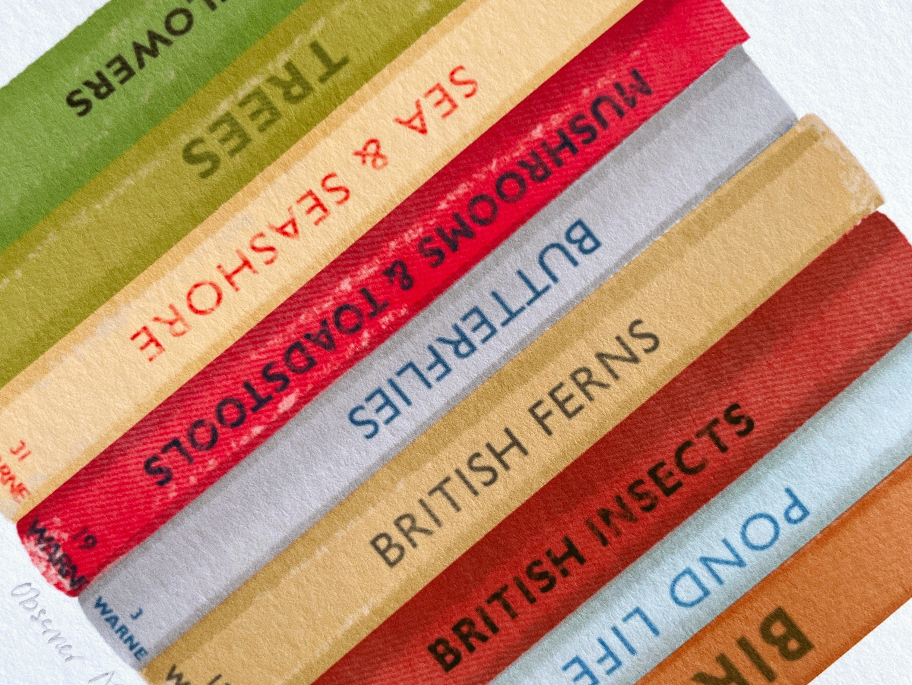 A Spotter's Guide to Spotter's Guides: The Odd History of the Field Guide