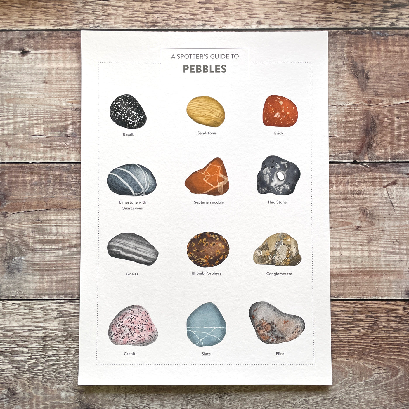 Giclee print illustration of a spotter's guide to British pebbles.