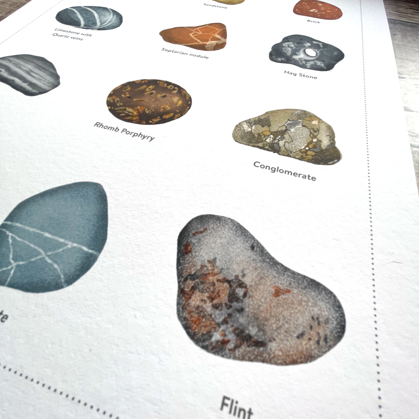 Giclee print illustration of a spotter's guide to British pebbles.