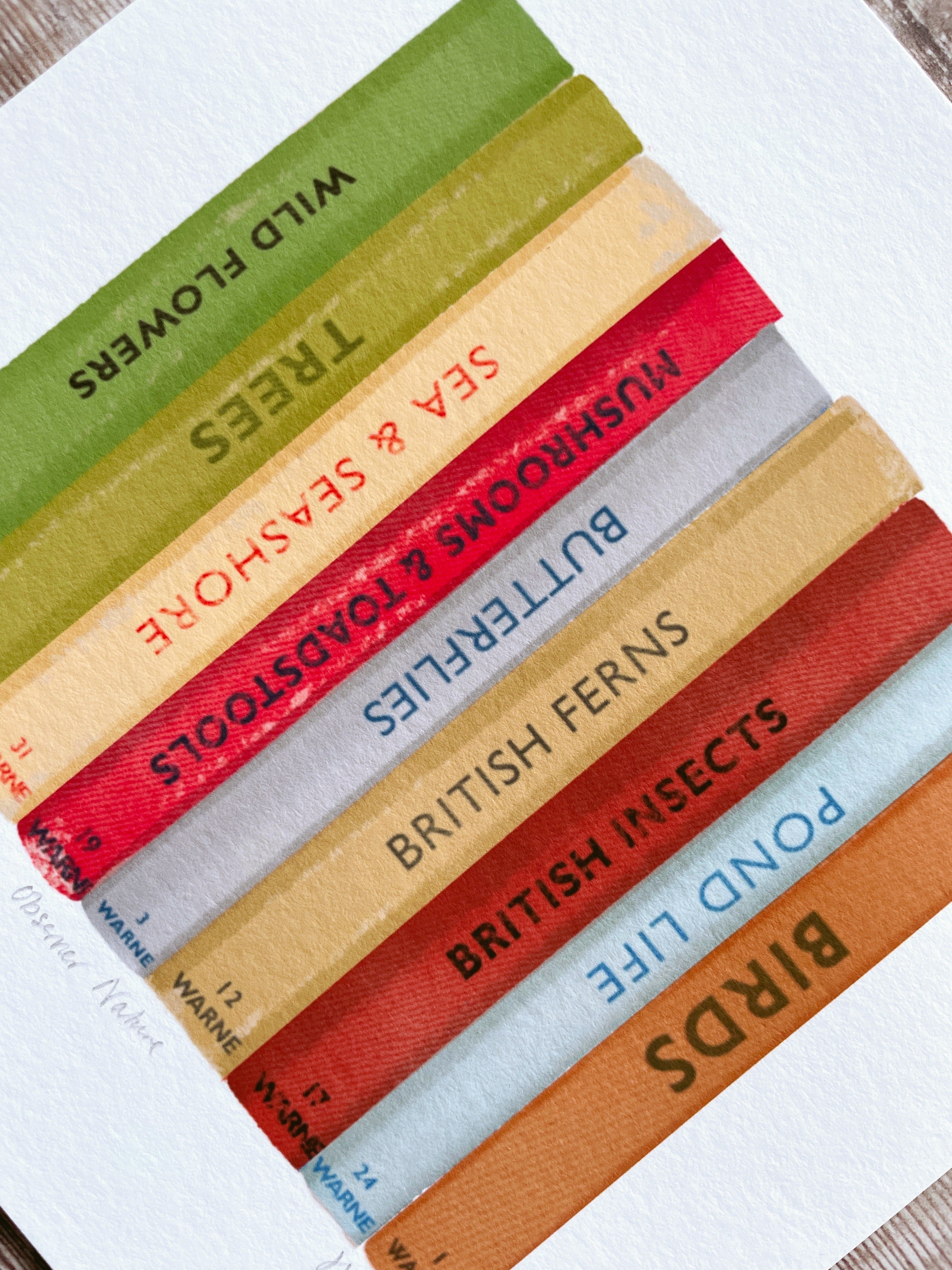 A Spotter's Guide to Spotter's Guides: The Odd History of the Field Guide