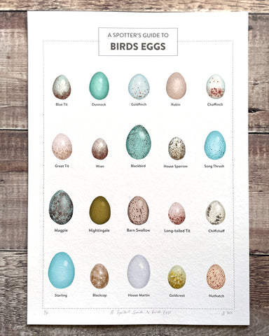 A Spotter's Guide to Birds Eggs - limited-edition, giclee print