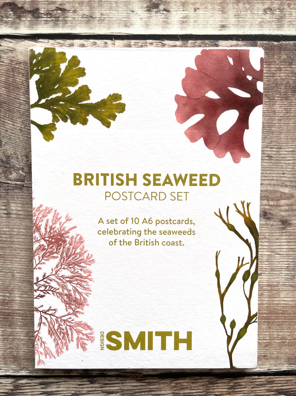 British Seaweed Postcard Set