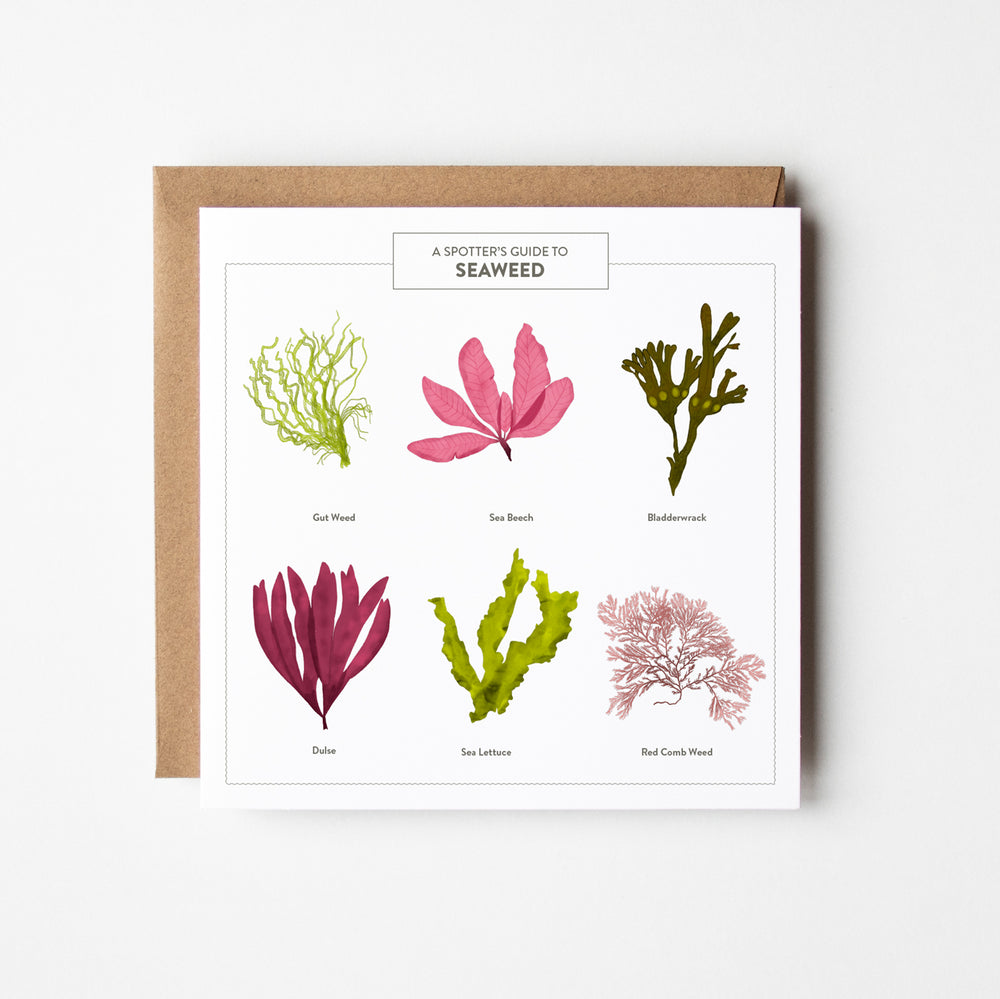 Seaweed  - blank greetings card