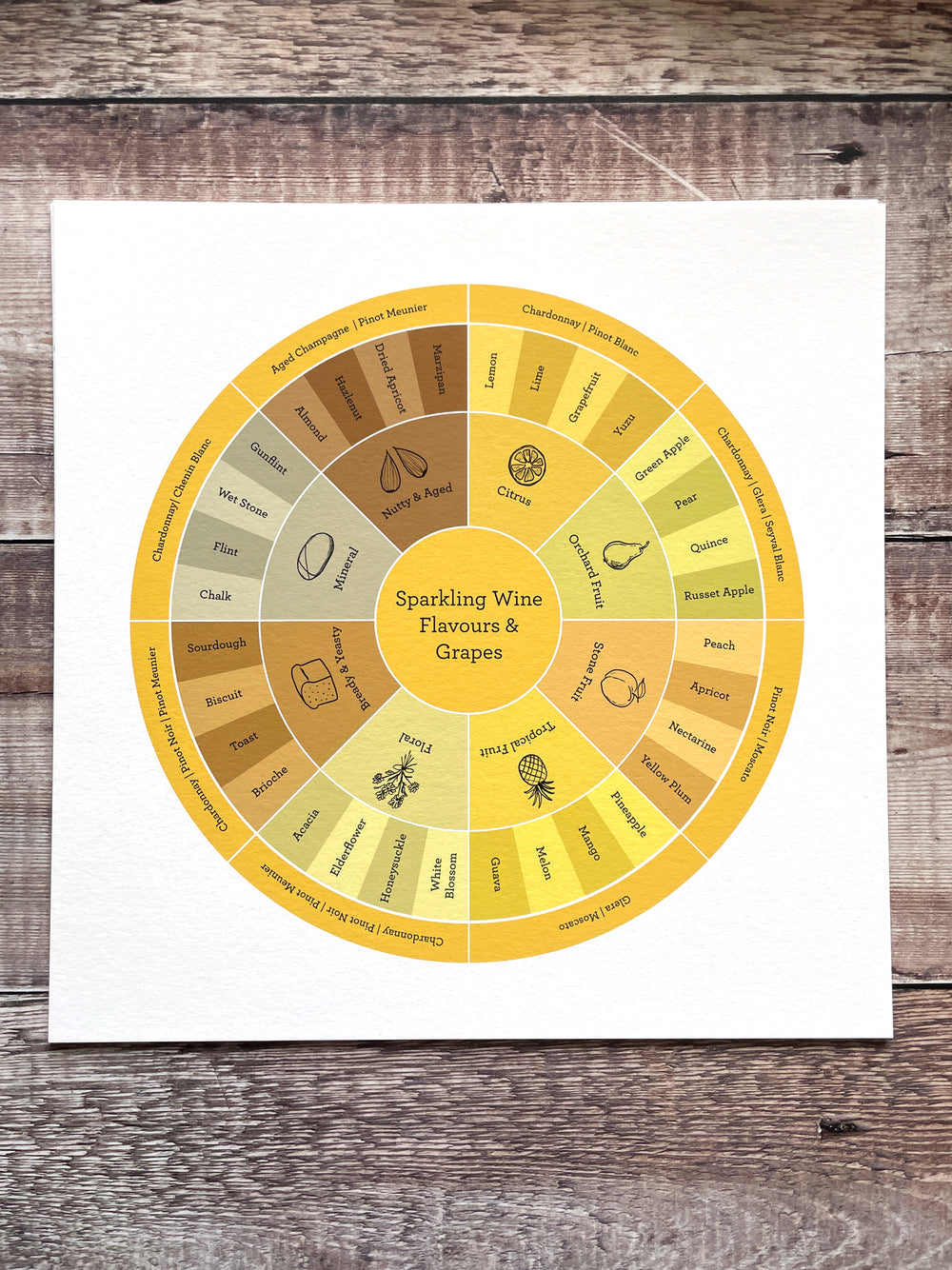 Sparkling Wine Flavour Wheel - Limited-edition print
