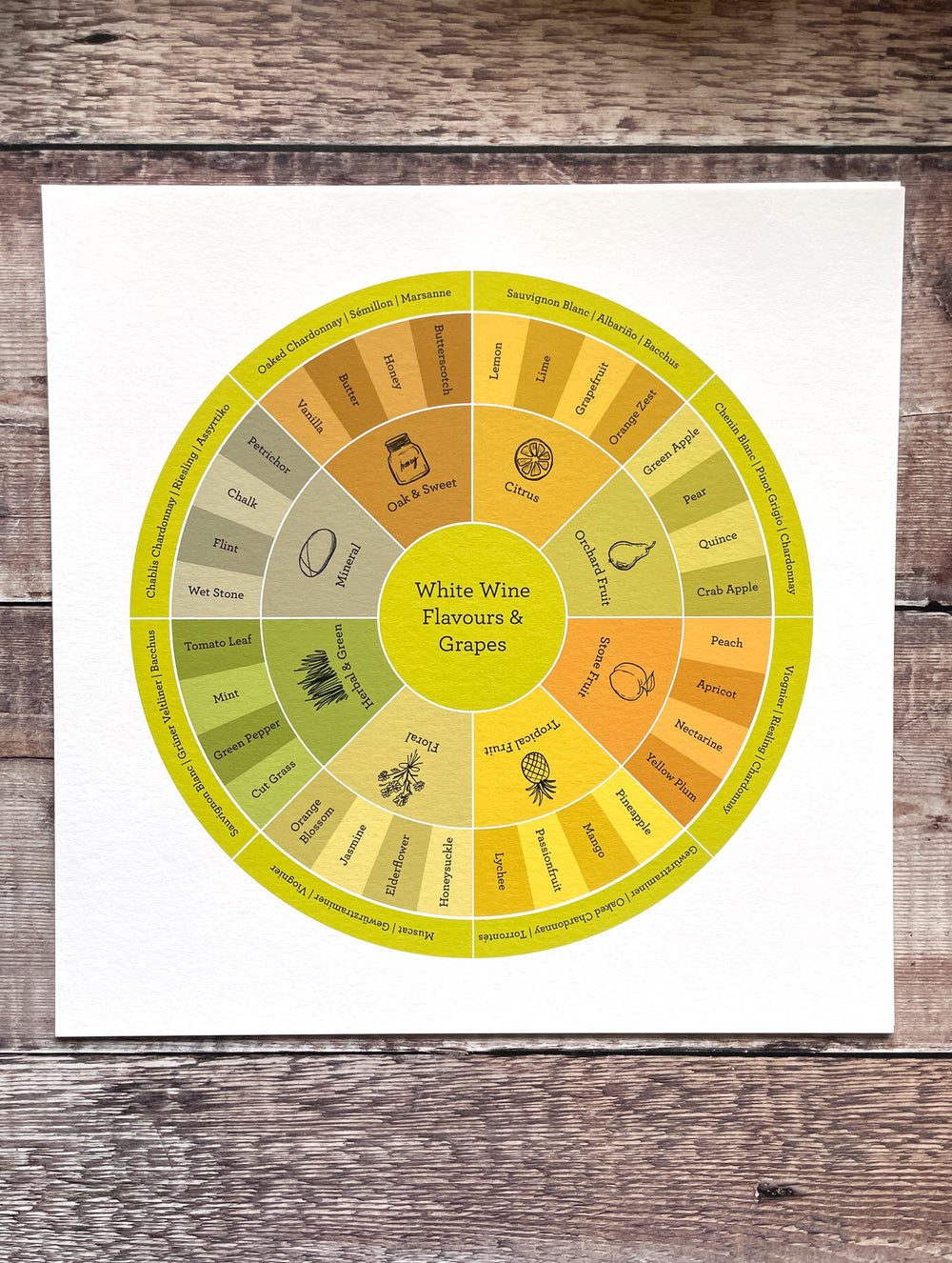 White Wine Flavour Wheel - Limited-edition print