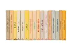 Yellow Observer book collection, limited-edition, Giclee print
