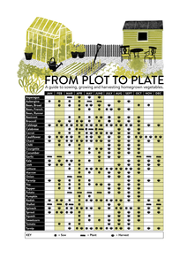 From Plot to Plate - tea towel