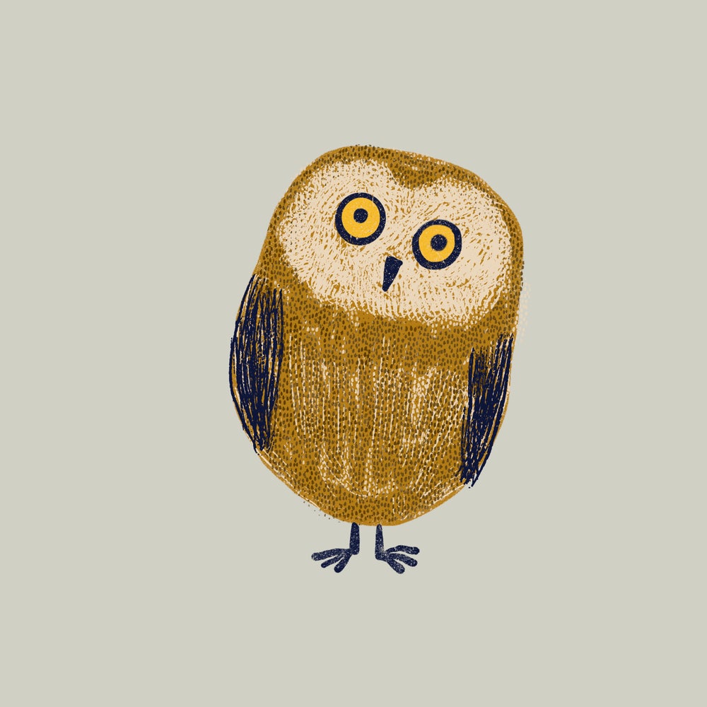 Owl - limited-edition, Giclee print