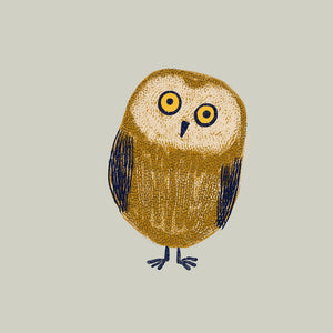 Owl - blank greetings card